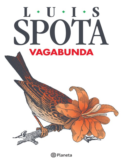 Cover image for Vagabunda